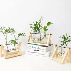 مزهرية زجاجية مع حامل خشبي على شكل حرف A