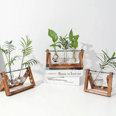 مزهرية زجاجية مع حامل خشبي على شكل حرف A