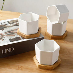 أصيص نباتات عصارية سيراميكي سداسي الشكل مع صحن من الخيزران